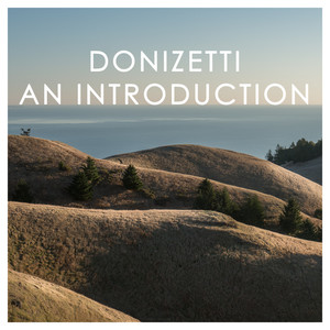 Donizetti: An Introduction