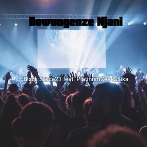 Bowungenze Njani (feat. PlatinumCee & Sika) (Explicit)