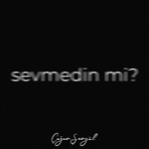 sevmedin mi?