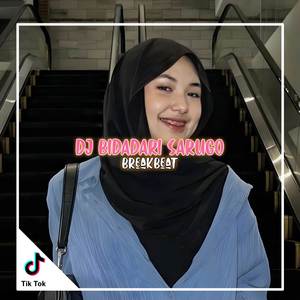 Dj Bidadari Sarugo BreakBeat