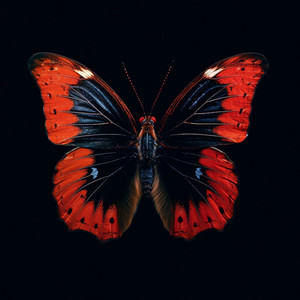 Love Me (Instrumental + Slowed + Reverb)