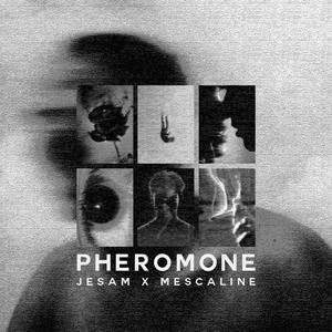 Pheromone