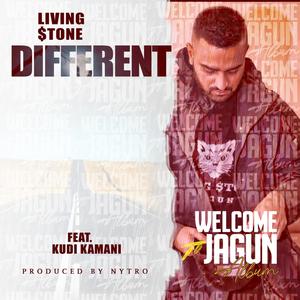 Different (feat. Kudi Kamani) [Explicit]