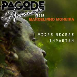 Vidas Negras Importam