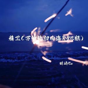 精卫 (万物终归向海R&B版) - 时屿Bo封面