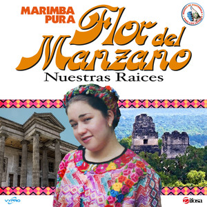 Nuestras Raíces. Música de Guatemala para los Latinos