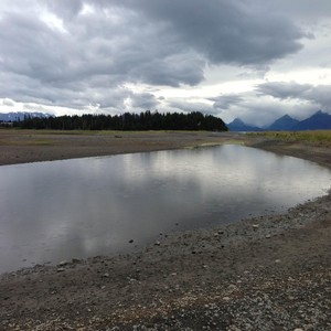 Advice from an Estuary(feat. Celso Alberti)