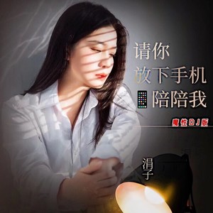 请你放下手机陪陪我 (DJ默涵版)