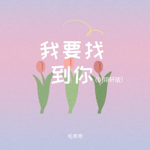 我要找到你 (DJ翊轩版)
