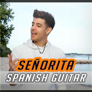 Señorita (Spanish Guitar Version)