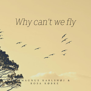 Why Can't We Fly?