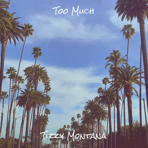 Too Much (Explicit)