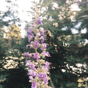 Ivy (feat. Cece Coakley)