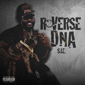 Reverse DNA (Explicit)