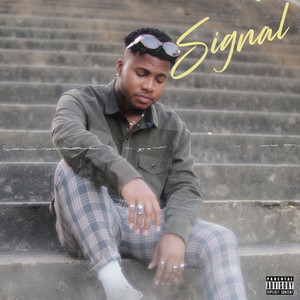 Signal