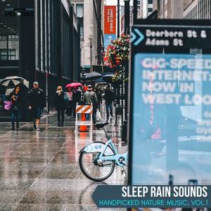 Sleep Rain Sounds - Handpicked Nature Music, Vol.1