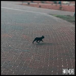 figure it out (feat. NotThatGreat)