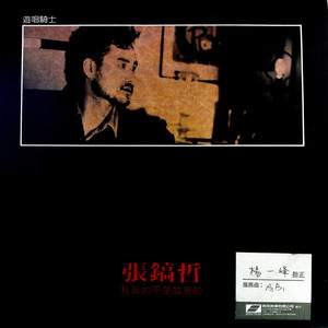 雨季来的时候 (黑胶版)封面