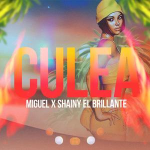 Culea (feat. Shainy El Brillante) (Explicit)