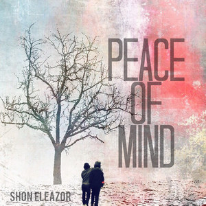 Peace of Mind(feat. Hc) (Explicit)