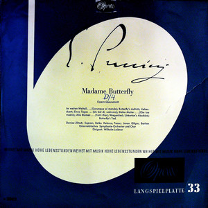 Butterfly's Death (黑胶版)