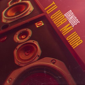 Tu Vida Mi Vida (COVER版)