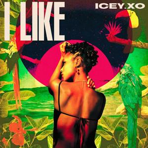 I Like (Explicit)