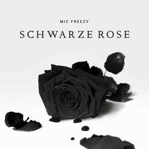 Schwarze Rose