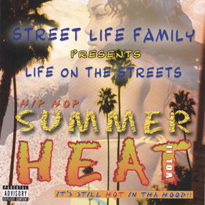 hip hop summer heat .vol2