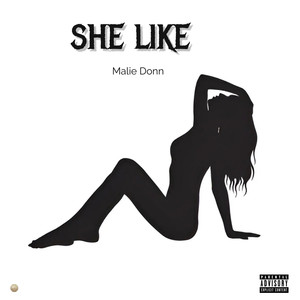 She Like (Explicit)