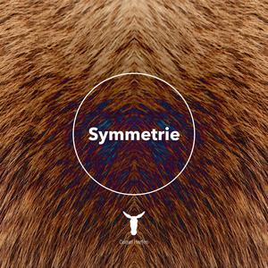 Symmetrie