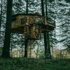 Treehouse