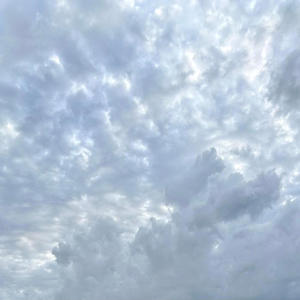 sentimental (feat. Terk) (Explicit)