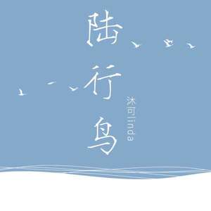 沐可linda - 陆行鸟