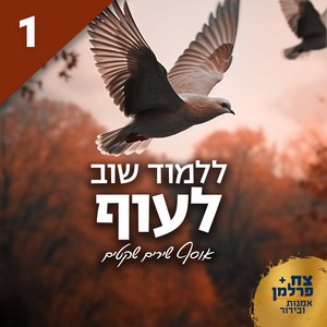 ללמוד שוב לעוף 1 (אוסף שירים שקטים)