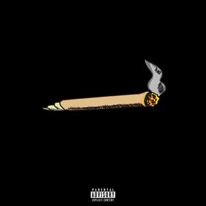 The Joint Project (Explicit)