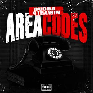 Area Codes (Explicit)