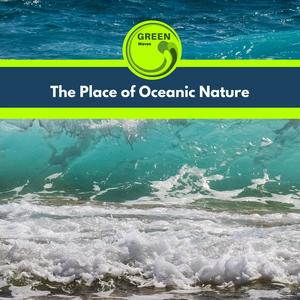 Daydreams About Ocean