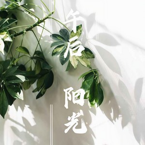 午后阳光