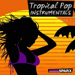 Tropical Pop Instrumental Volume 2