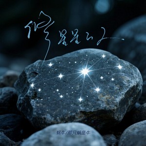 修星星的人封面