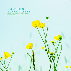 맑은 자연의 소리가 함께하는 감성 피아노 연주 (Emotional Piano Playing Sounds Of Sunny Nature Together)