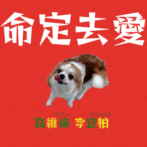 命定去爱