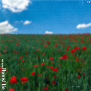 Pleasures U Like (Radio Edit)