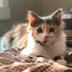 Say you love me (feat. Funeral & Apollo the wave) (Explicit)