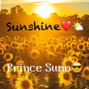 Sunshine (Explicit)