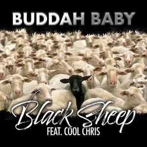 Black Sheep(feat. Cool Chris) (Explicit)