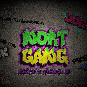 Nort Gang (Explicit)