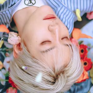 Been Through(顺其自然) (翻自 EXO)