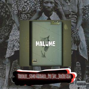 MALUME (feat. Joe Zee Rsa, Pee Jay & Sino Mkhalo)